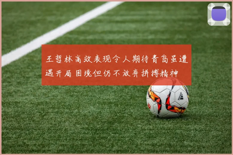 王哲林高效表现令人期待青岛虽遭遇开局困境但仍不放弃拼搏精神